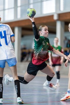 Bild 118 - F HSG Kremperheide/Muensterdorf - ATSV Stockelsdorf 2 : Ergebnis: 47:32